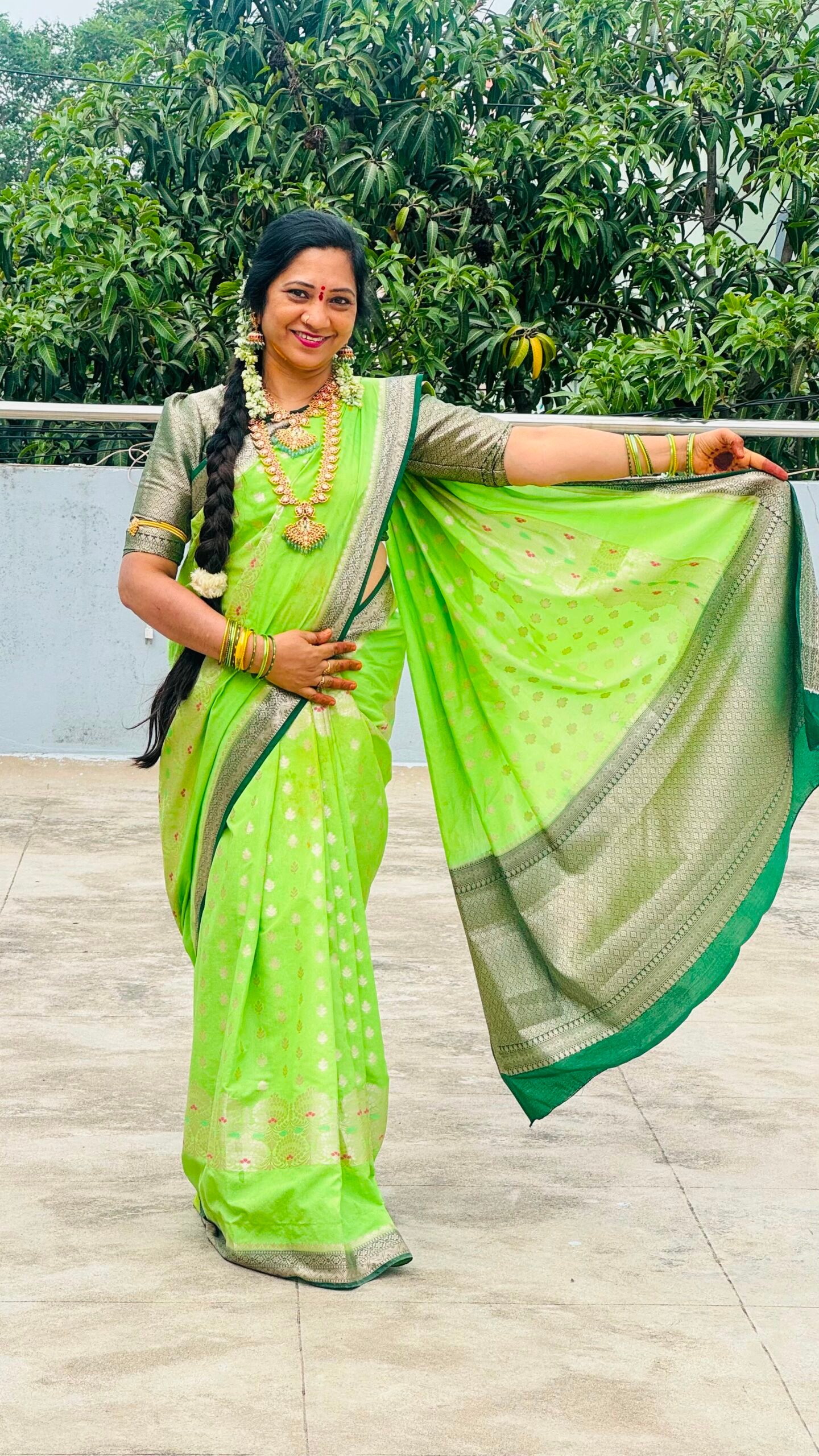 Banarasi Meenakari Design Saree - Image 4